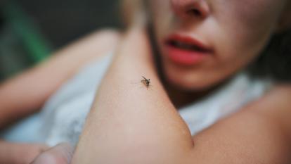 Le virus du West Nile est maintenant présent dans 15 pays européens.
