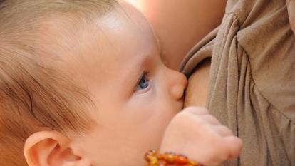 La cabergoline, un médicament utilisé pour interrompre la lactation, pourrait-il réduire le risque de cancers du sein ? Les résultats permettent de mieux comprendre les mécanismes de transformations du sein après une grossesse.