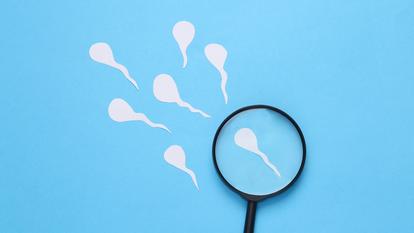 Le STEOM, qui aurait une efficacité d’au moins trois ans, a remporté le Grand Prix I-Lab 2026 de Bpifrance et touché 500.000 euros pour accélérer son développement.
