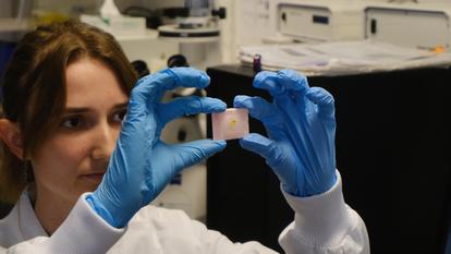 Le projet consiste à cartographier puis mieux comprendre le comportement des millions, voire milliards de cellules qui composent les tumeurs.