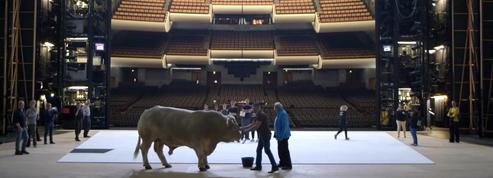 Les secrets et les coulisses de l'Opéra de Paris, si fragile machine à rêves
