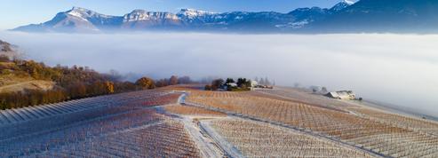 Cinq vins de Savoie à découvrir dans les stations des Alpes cet hiver