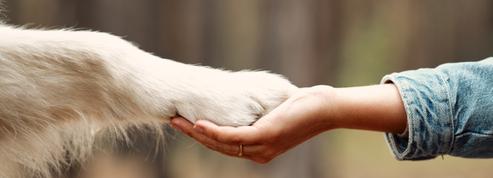 Maladies psychiques : adopter un chien pour gagner en autonomie