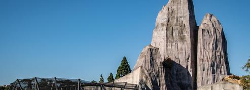 Un appel aux dons pour préserver le grand rocher du Parc zoologique de Paris