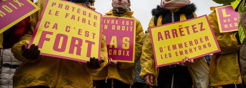 Marche pour la vie: les anti-IVG défilent à Paris contre l'allongement de la durée légale