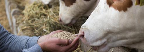 «Les attaques répétées contre les éleveurs mettent en danger la diversité de notre agriculture»