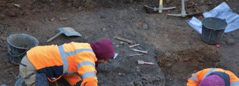 À Rennes, cinq squelettes exhumés avant de planter des chênes à feuilles de laurier