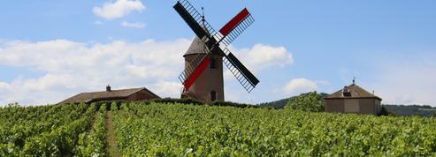 Notre palmarès des meilleurs Moulin-à-vent, l'appellation du Beaujolais digne d'un grand cru, à petits prix