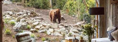 L'escapade de la semaine: évasion garantie au pays des grizzlys dans la Sarthe