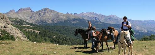 Tourisme équestre : nos conseils pour réussir sa randonnée à cheval