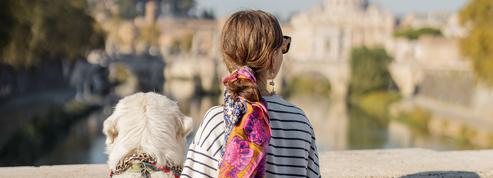Où partir en vacances avec son chien cet été ? «L'Italie est le pays le plus dog-friendly»