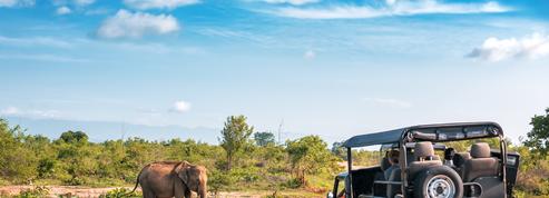 Quand partir au Kenya ? Météo, safaris, affluence… La meilleure période par région