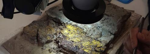 Les archéologues tentent de sauver une fascinante toison d'or romaine découverte à Autun