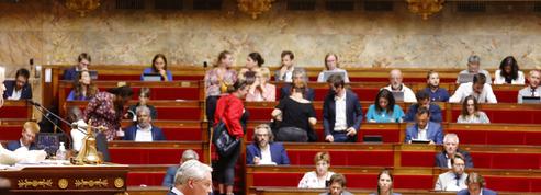 EN DIRECT - Projet de loi sur le pouvoir d'achat : les députés ont adopté l'article 1er relatif à la prime Macron