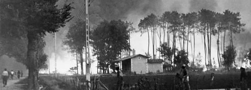 Gironde : en 1949, «l'incendie du siècle» ravageait déjà les forêts de pins