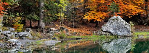 Où profiter des plus belles couleurs d'automne ?