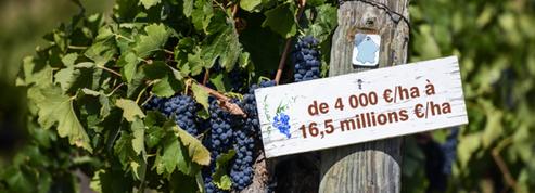 Le barème 2022 des prix de l'hectare de vignes en France