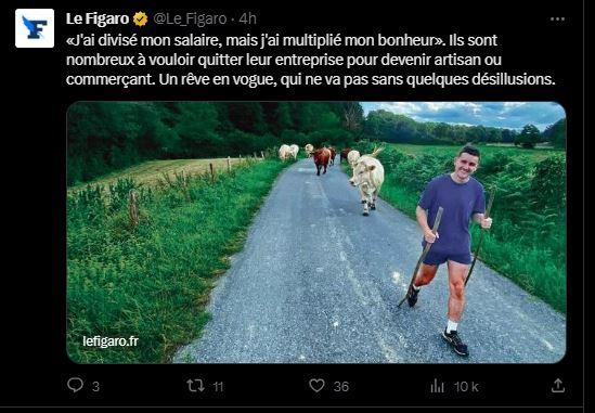 Elon Musk fait disparaitre les titres des articles de presse partagés ...