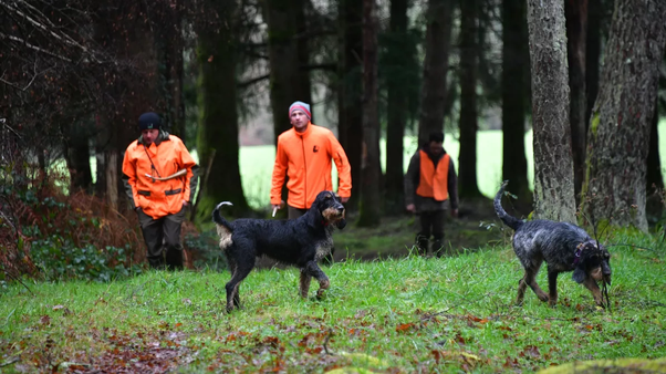 Selon les chiffres de la FNC, 42% des chasseurs ont moins de 55 ans.