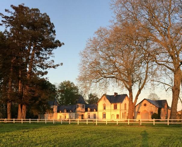 Le château de l’auteur de Vipère au Poing, affiché à 580.000 euros, peine à se vendre