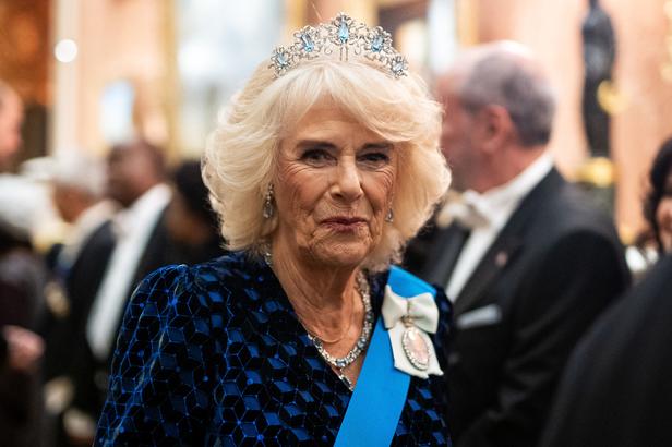 GALA Camilla Parker-Bowles : ce qu'il faut connaître