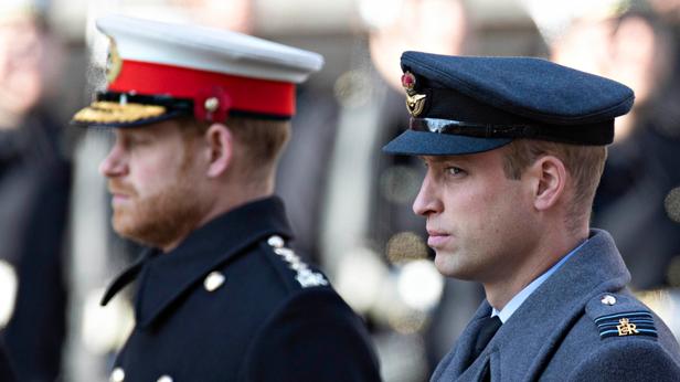 GALA Prince William : ce qu'il faut connaître