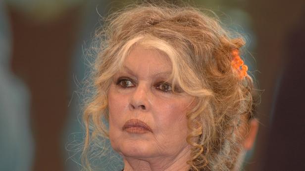 Brigitte Bardot : sa soeur Mijanou aurait pu devenir une grande actrice