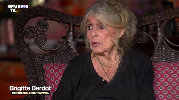 GALA VIDÉO – Brigitte Bardot : ce qu'il faut connaître