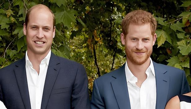 GALA Prince Harry : ce qu'il faut connaitre (1)