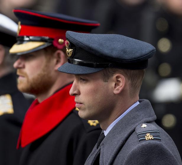 GALA Prince William : ce qu'il faut connaître