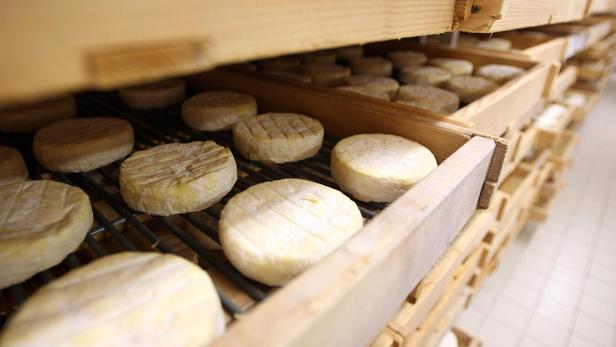 Rappel De Fromages Après La Contamination De 13 Enfants 