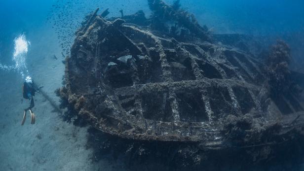 Plongée Martinique Spots de plongée sous marine aux Antilles