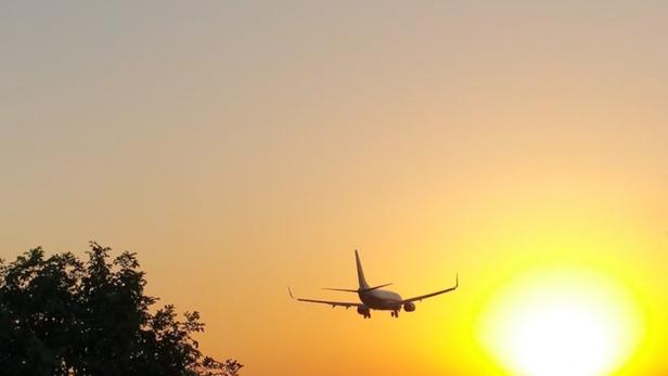 Porte Chapeau élastique 4 Pinces à Chapeau Pour Sac - Accroche Tes Affaires En Voyage, Libère Tes Mains Porte Chapeau Portable