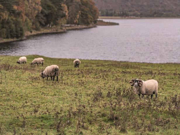 Voyage d’automne en Écosse, au fil du tartan