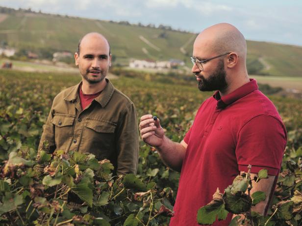 «À la maison, nous parlons de vin depuis l’âge de 10 ans» : Hugo et Antoine Drappier, deux frères au service d’un champagne vivant