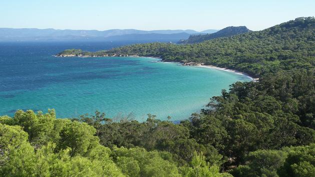 Porquerolles and Port-Cros, our travel guide