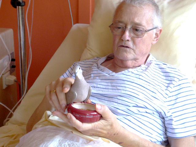 Christian et la tourterelle Hélio se sont apprivoisés.