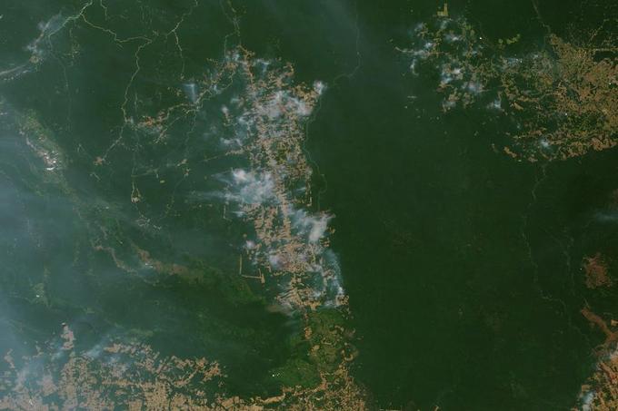 La ville de Novo Progresso est située le long de la route BR-163, qui relie les agriculteurs du sud de l’Amazonie à un port de haute mer situé sur le fleuve Amazone, à Santarem.