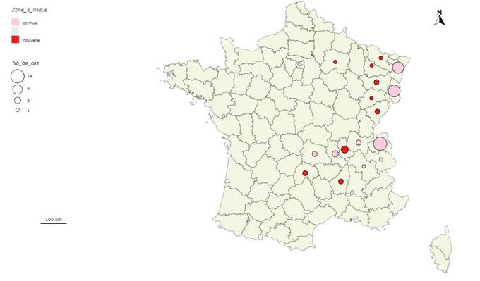 L’encéphalite à tiques progresse en France.