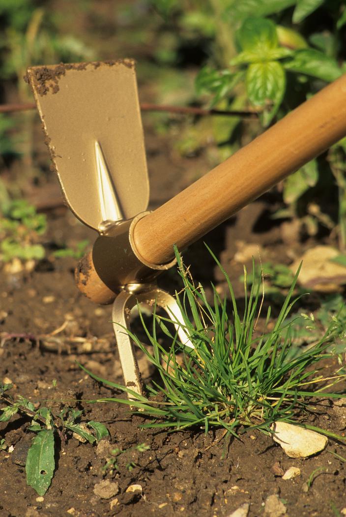 15 outils de jardinage indispensables