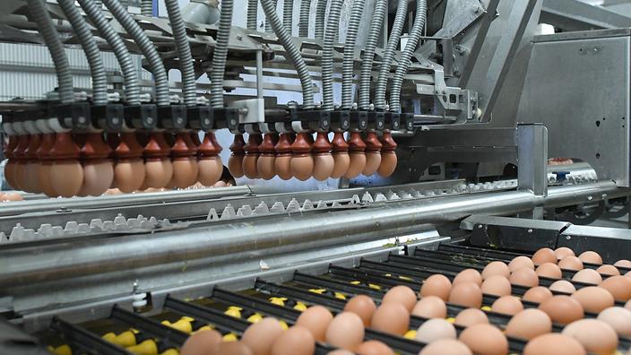 As vendas de ovos aumentaram 44% durante a contenção.'œufs ont augmenté de 44% pendant le confinement.