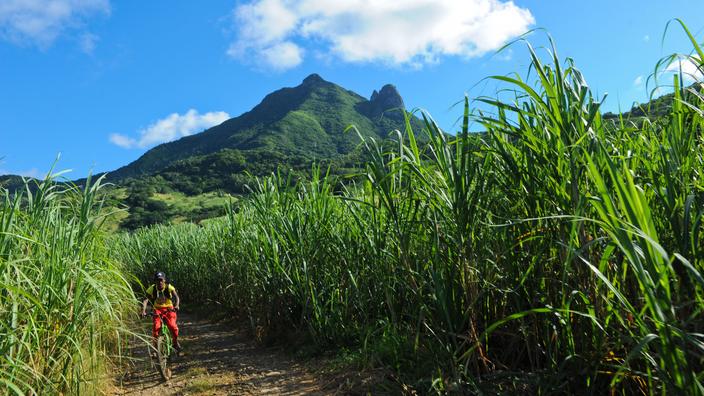 Echappées Belles Ile Maurice Un Paradis Retrouvé Île Maurice : le guide de voyage du Figaro