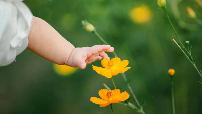 Prénoms féminins : ces 2 prénoms de fleurs font leur grand retour