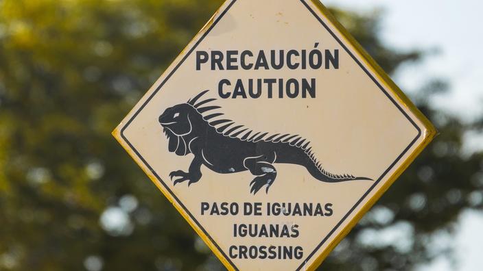Des T-shirts, de la musique forte et peu de monde dans l’eau : ce qui risque de vous surprendre à la plage au Mexique