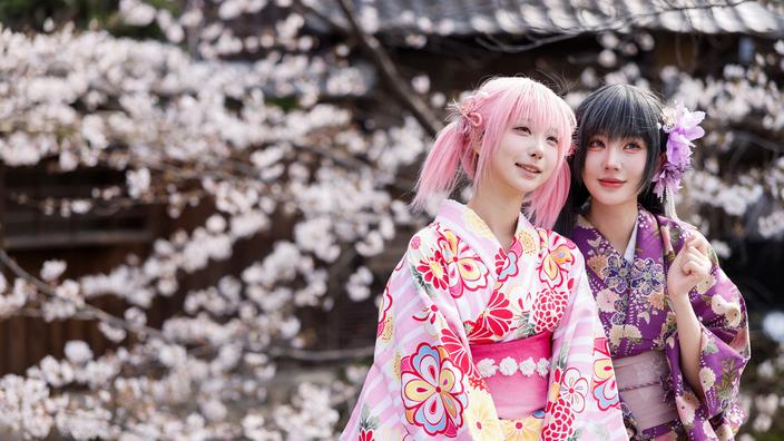 Cerisiers en fleurs au Japon : où et quand les voir au printemps, tout savoir sur les sakura