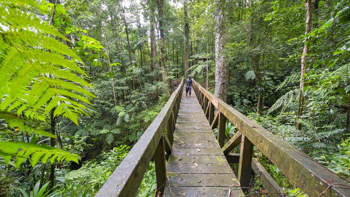 En Dominique, randonnée sur le Waitukubuli Trail, le GR20 des Caraïbes
