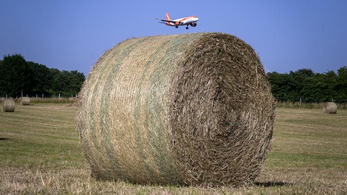 Les Producteurs Suisses Preferent Les Saisonniers Etrangers Aux Volontaires Nationaux