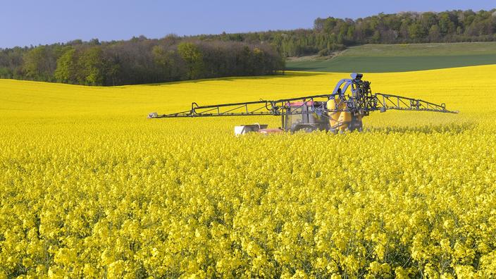 three anti-GMO activists indicted for destruction of rapeseed