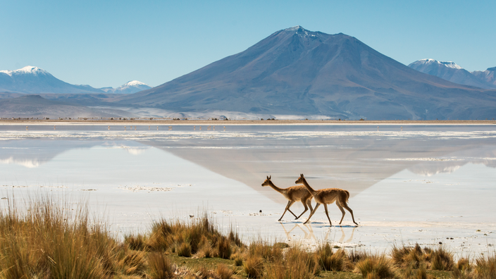 Cinq raisons de partir explorer le Chili cette année
