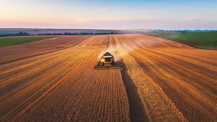 Wheat is catching its breath, corn still on the rise